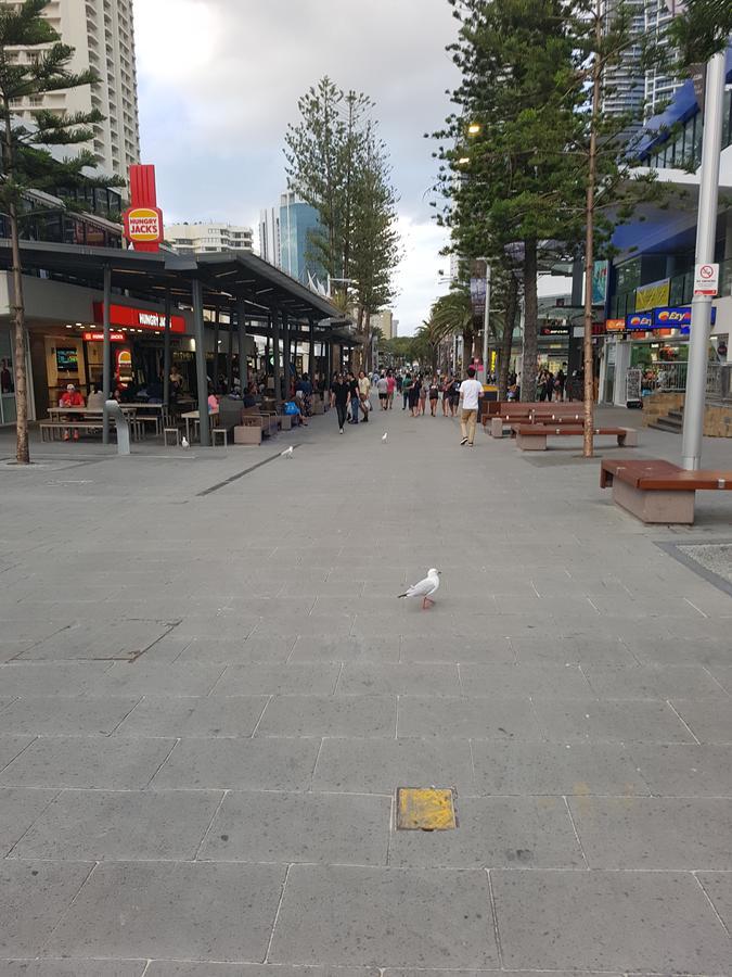 The Sands Surfers Paradise Esterno foto